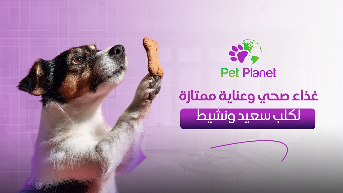 Pet Planet